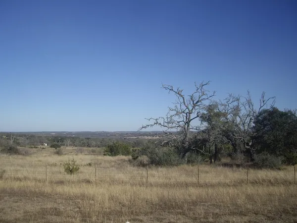 a view of a dry yard with trees