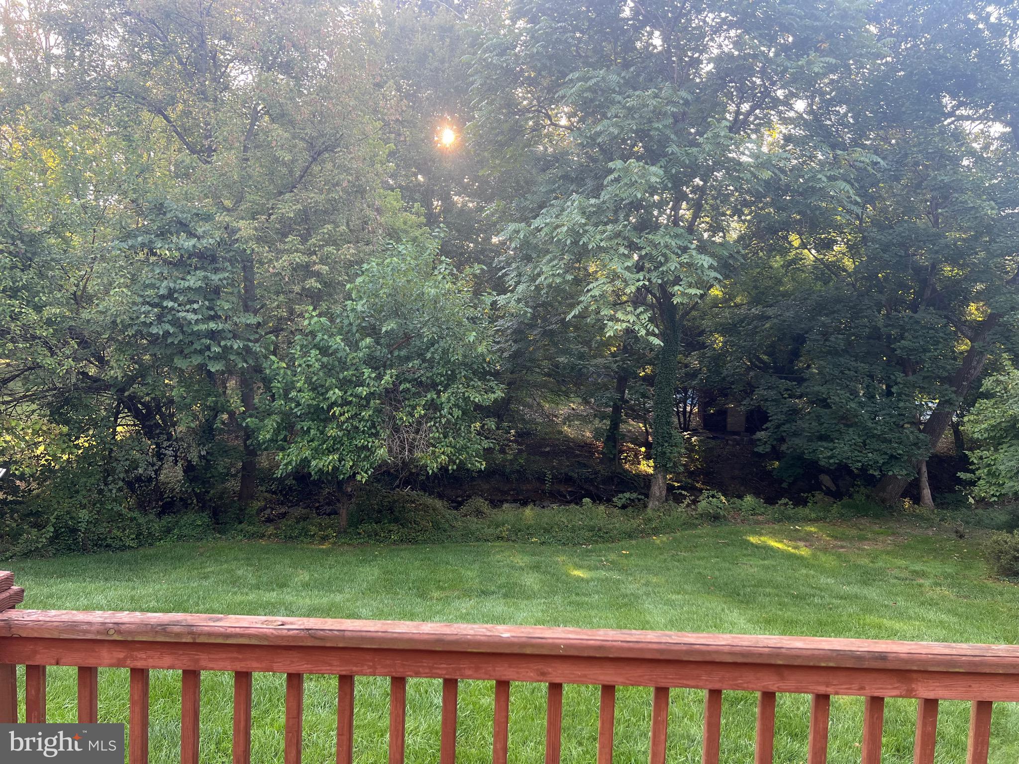 109 Hillside Road Baltimore, MD 21228 - Photo 68 of 78 Private, treed view