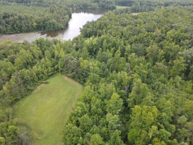 1079 Crymes Orchard Road Keysville, VA 23947 - Photo 23 of 23 Gallery Image 23