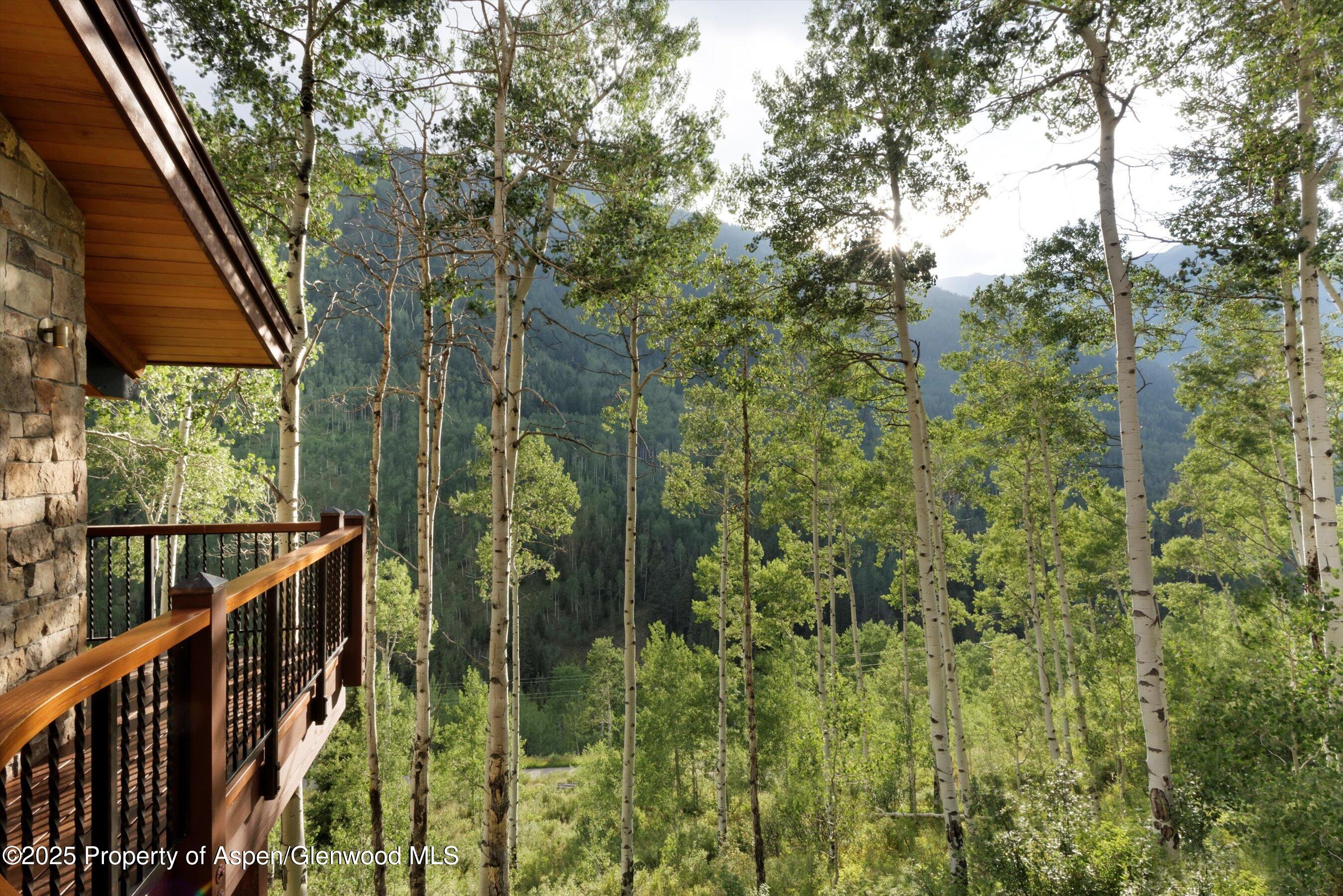 6770 Castle Creek Road Aspen, CO 81612 - Photo 38 of 53 a view of a balcony with an outdoor space