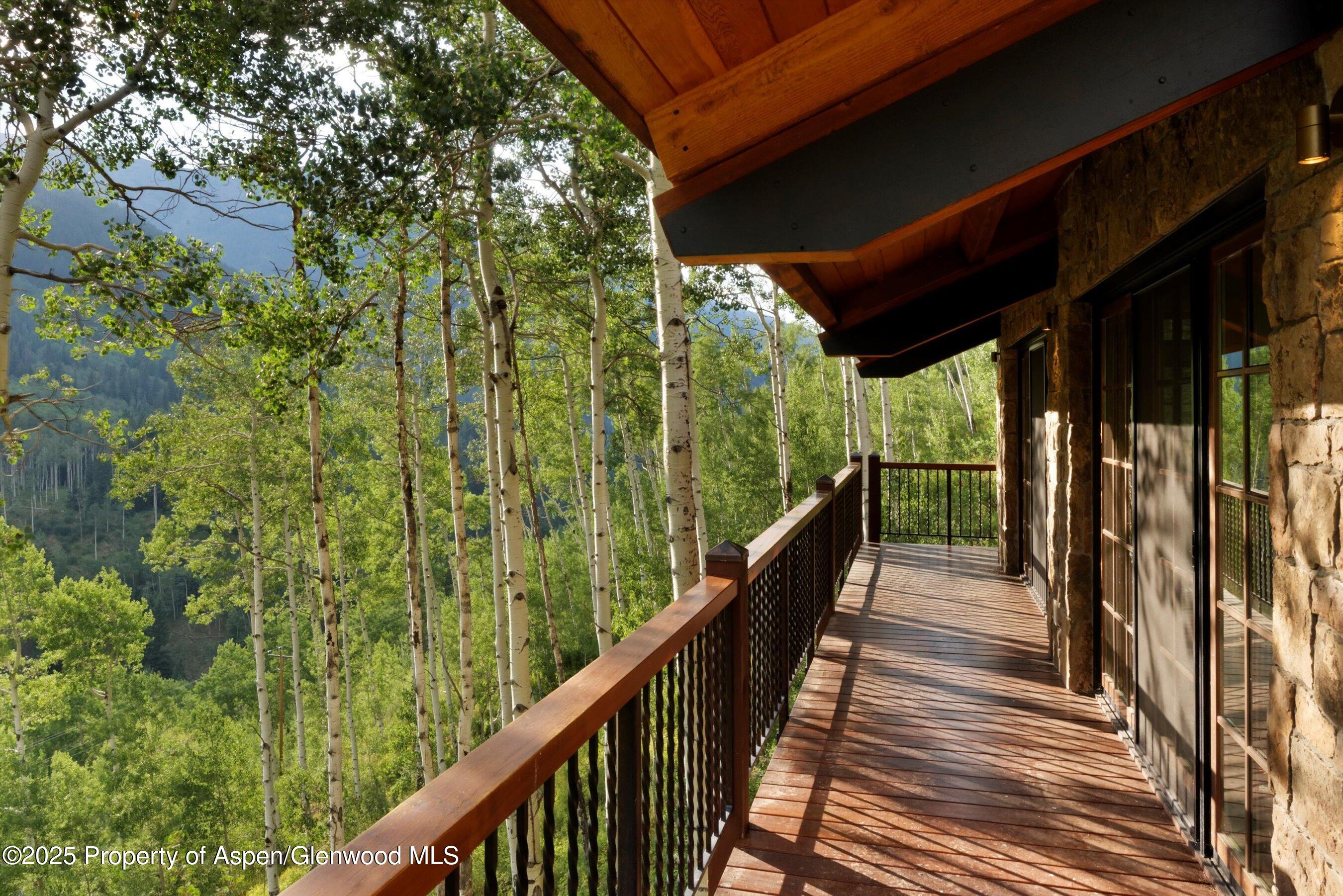 6770 Castle Creek Road Aspen, CO 81612 - Photo 40 of 53 a view of balcony with wooden floor