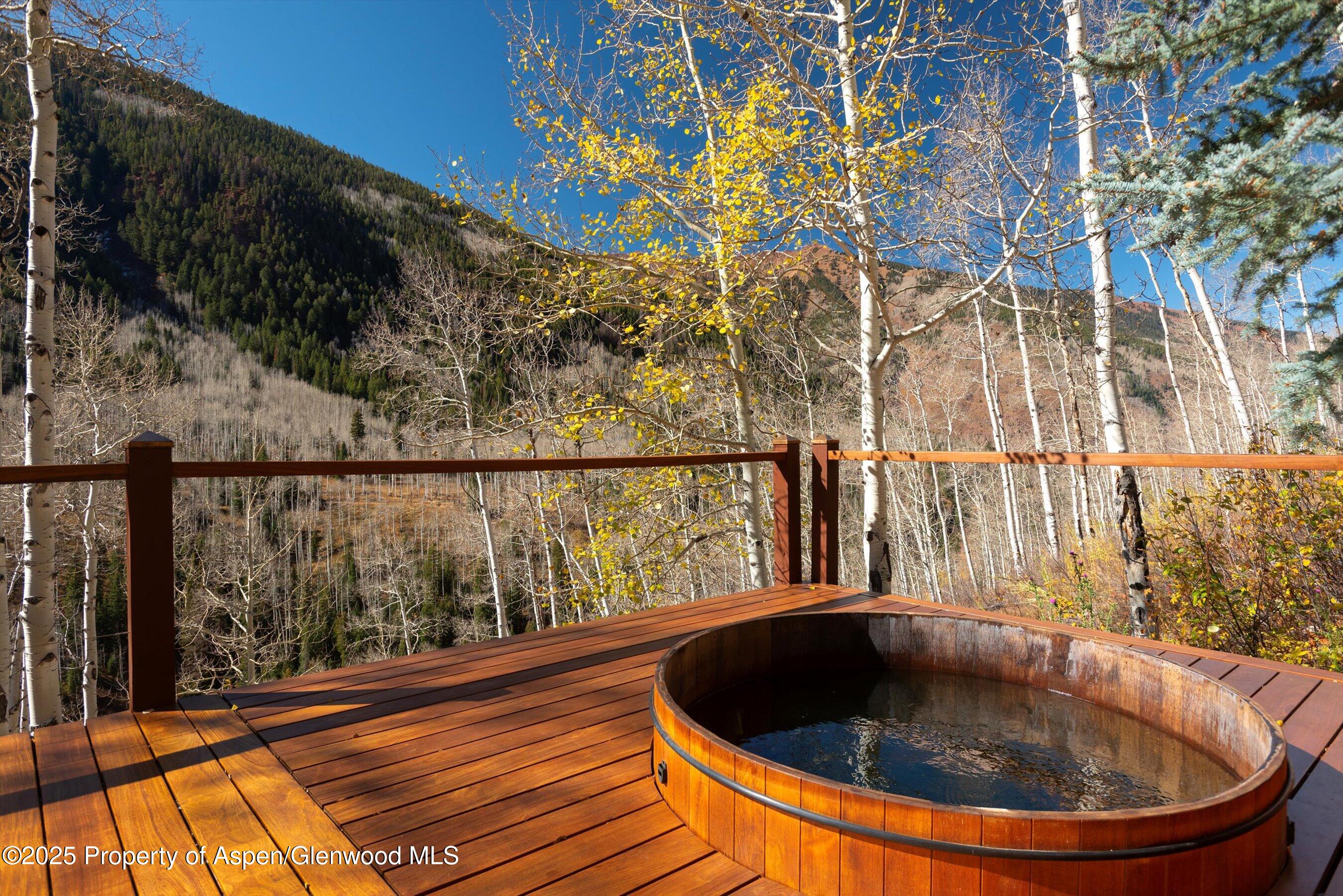 6770 Castle Creek Road Aspen, CO 81612 - Photo 48 of 53 a view of swimming pool and outdoor seating
