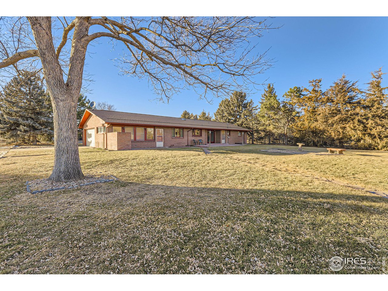 8847 Quail Road Longmont, CO 80503 - Photo 3 of 29 HUGE backyard!