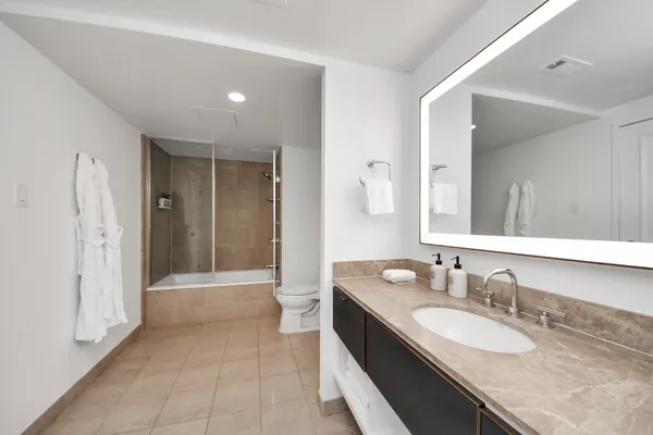 a bathroom with a toilet and a bathtub