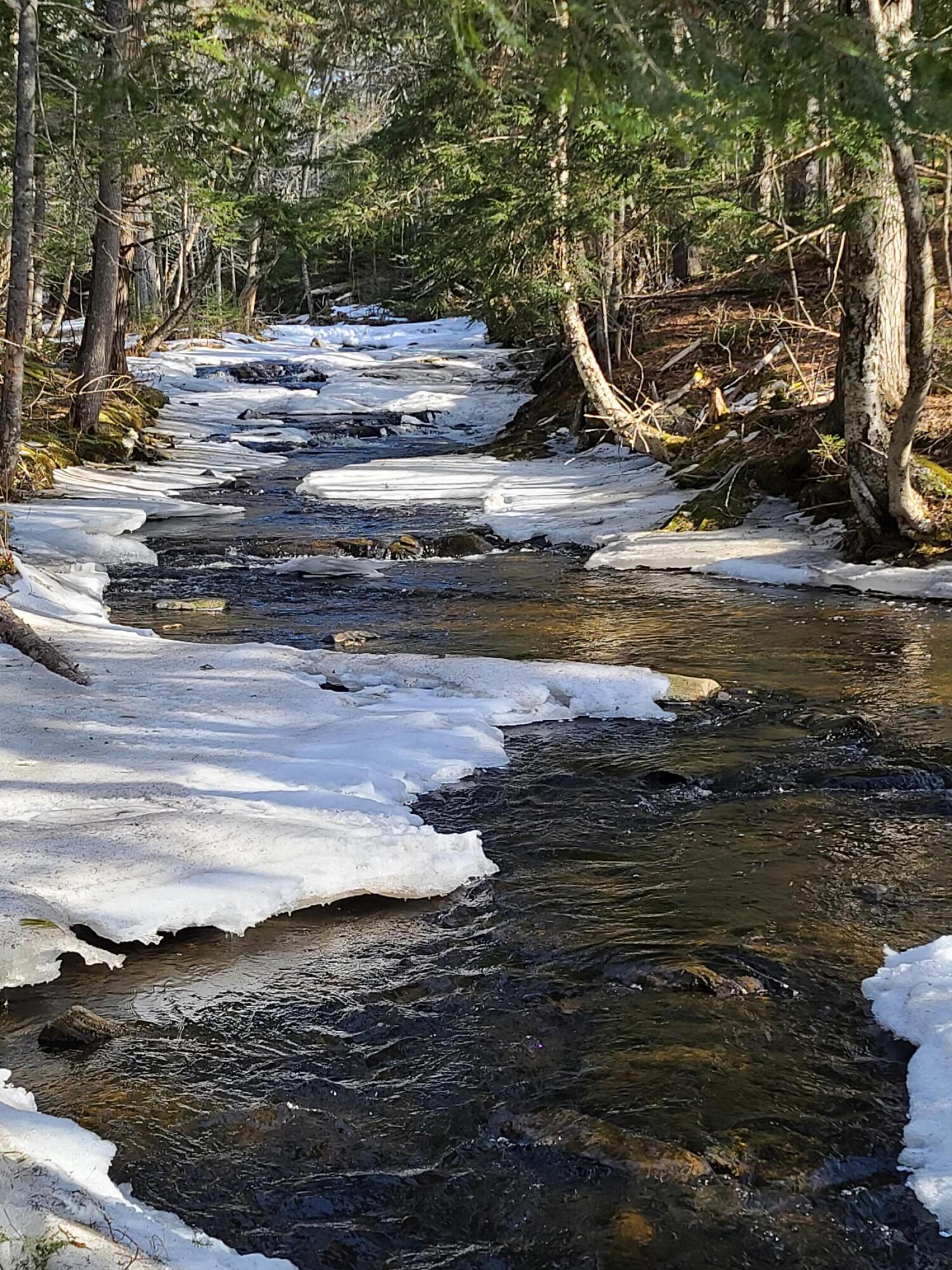 0 Old County Road Searsport, ME 04974 - Photo 20 of 21 2021-03-19 09.01.36