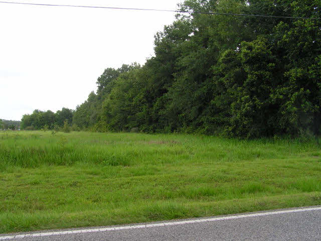 0 County Road 24 Foley, AL 36535 - Photo 2 of 4