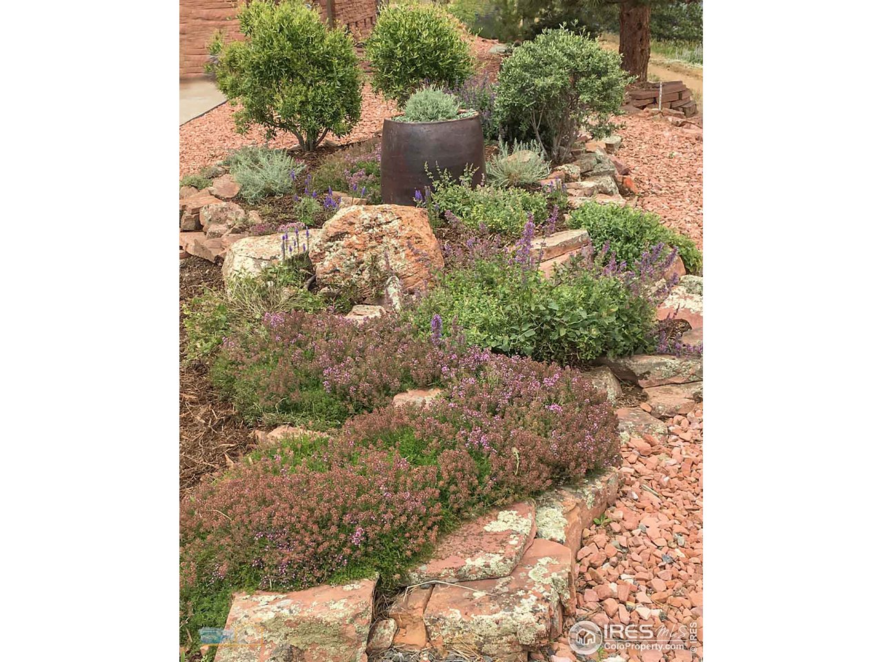 6565 Red Hill Road Boulder, CO 80302 - Photo 39 of 40 Gallery Image 39