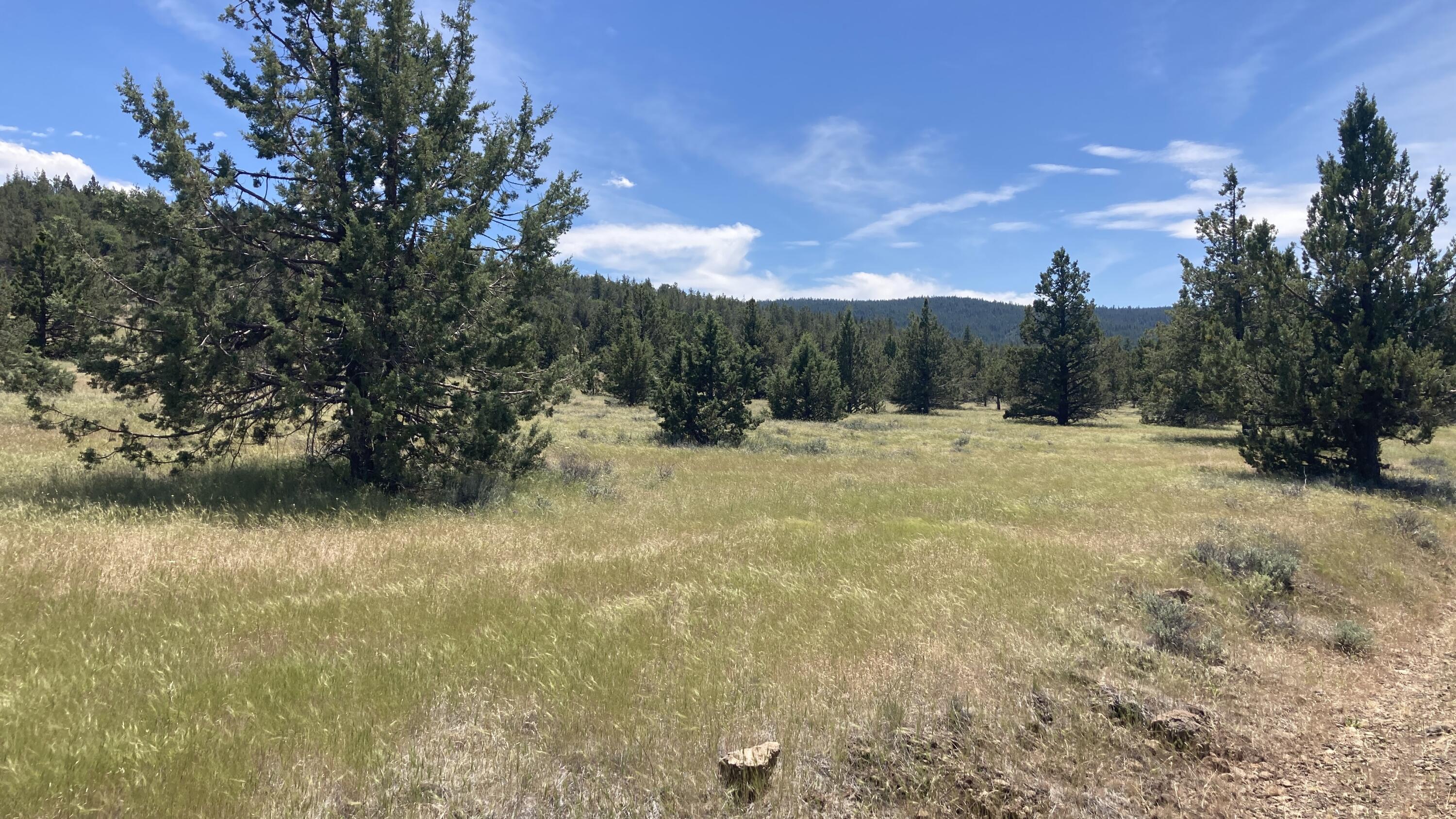 Nsa Loomis Cabin Road McArthur, CA 96056 - Photo 5 of 11 IMG_1701