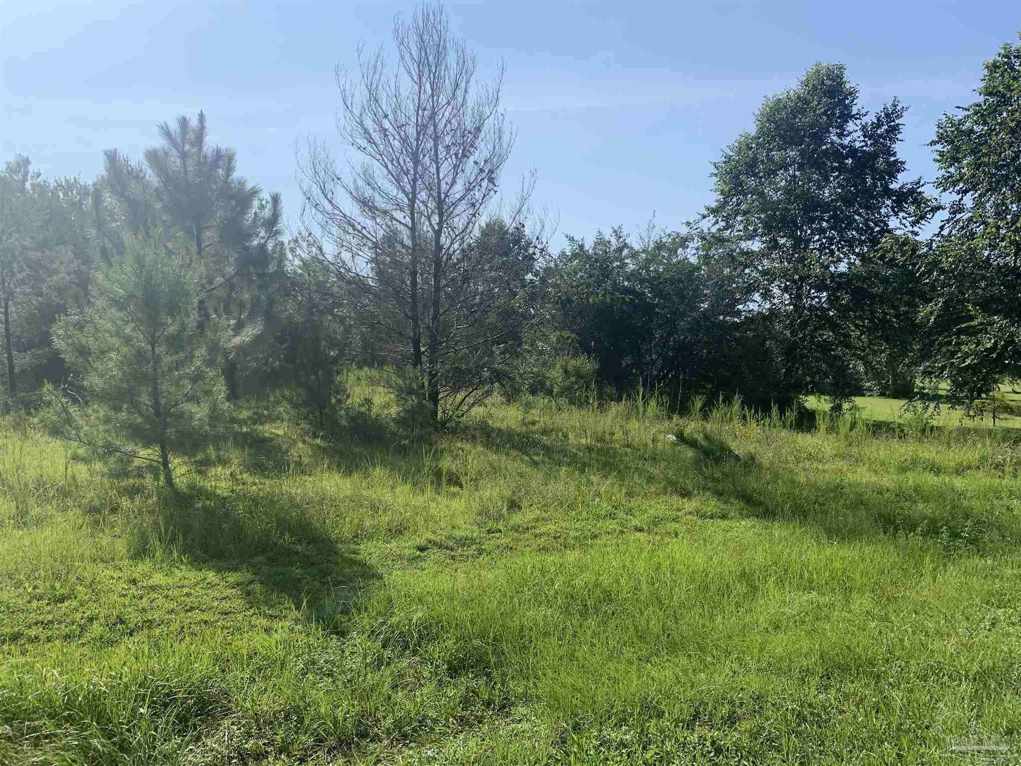 4700-blk Farm Life Road Milton, FL 32583 - Photo 3 of 8 Gallery Image 3