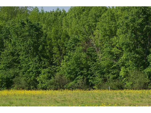 L-j Rt 23 Delaware, OH 43015 - Photo 2 of 4