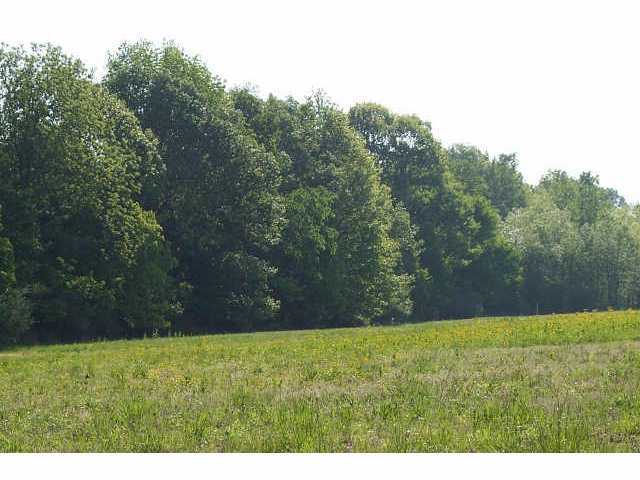 L-j Rt 23 Delaware, OH 43015 - Photo 3 of 4