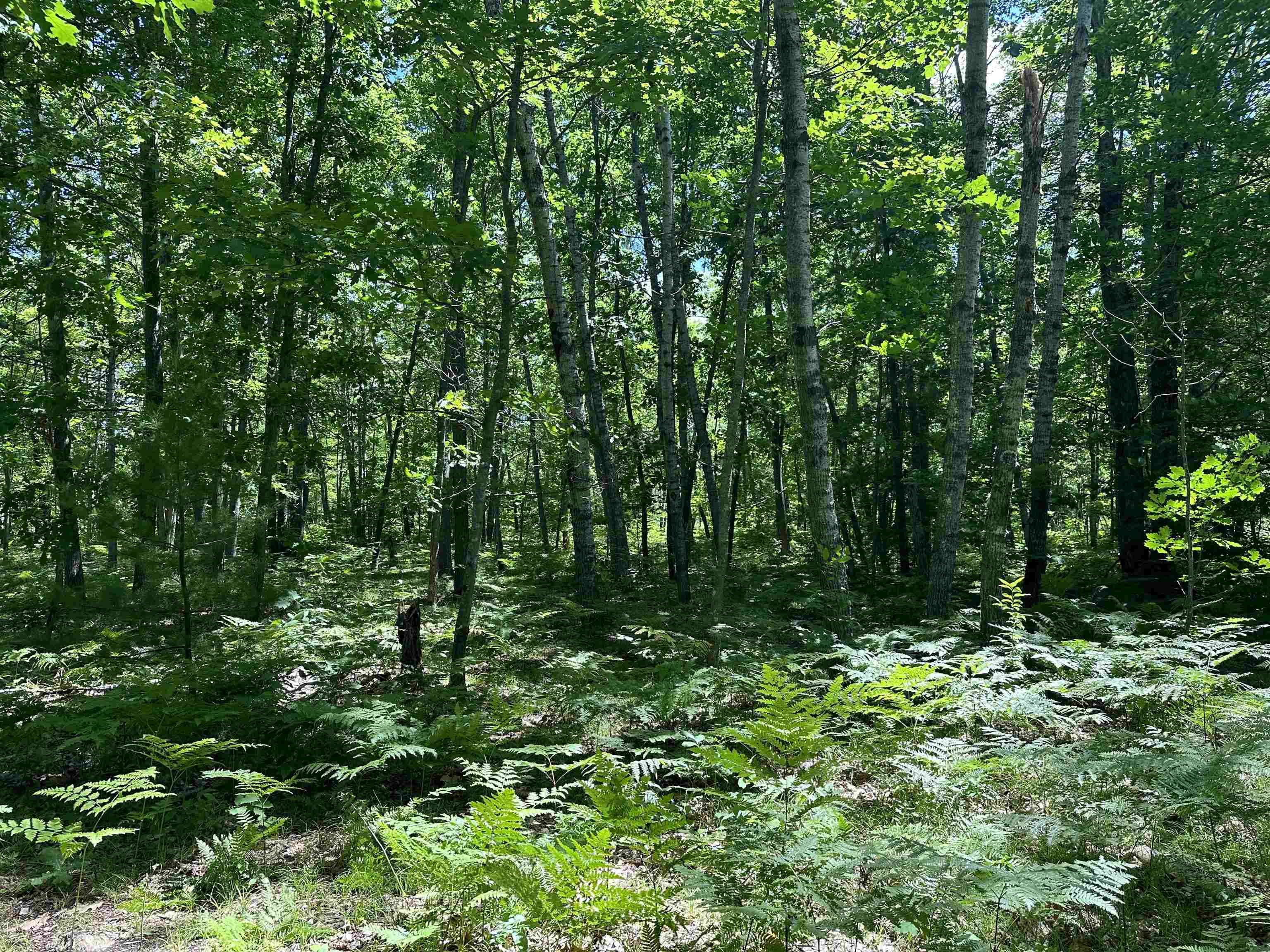 0 North Hodenpyl Dam Road Mesick, MI 49668 - Photo 7 of 11