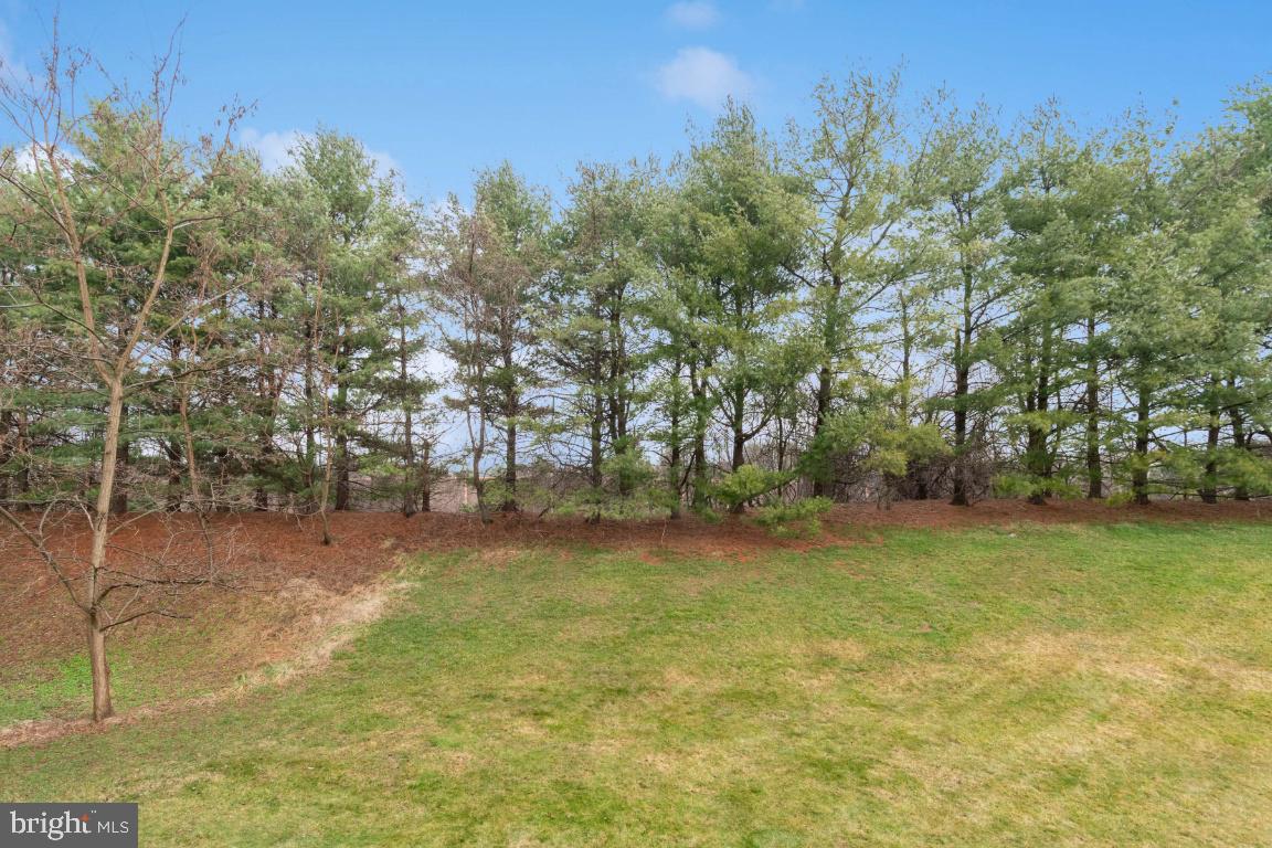 8573 Falls Run Road, Unit E Ellicott City, MD 21043 - Photo 21 of 21 a backyard of a house with lots of green space