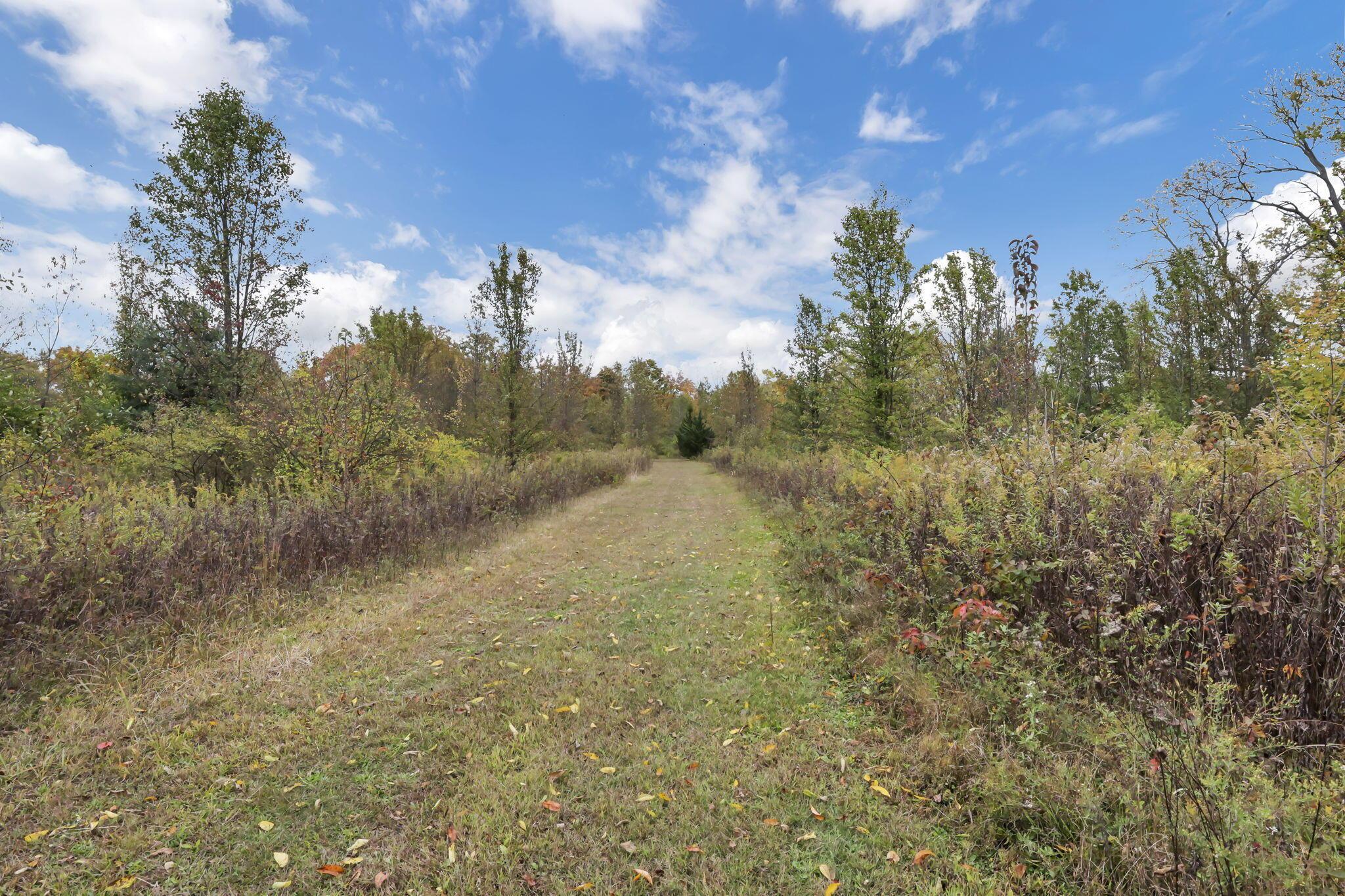5275 Cosgray Road Dublin, OH 43016 - Photo 63 of 68 74-web-or-mls-011A8815