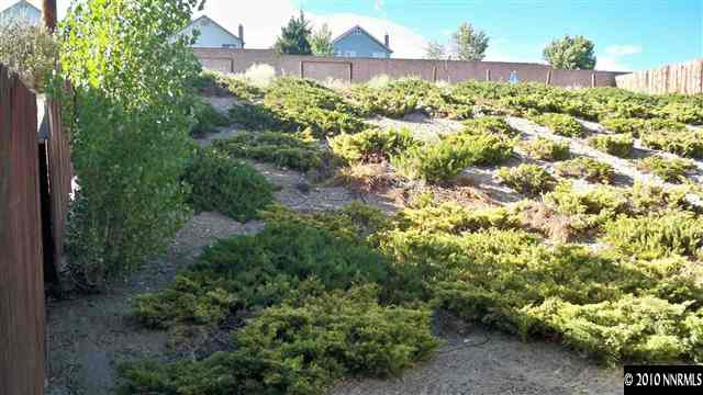 3545 Bryan Street Reno, NV 89503 - Photo 8 of 9 a view of a garden with a building in the background