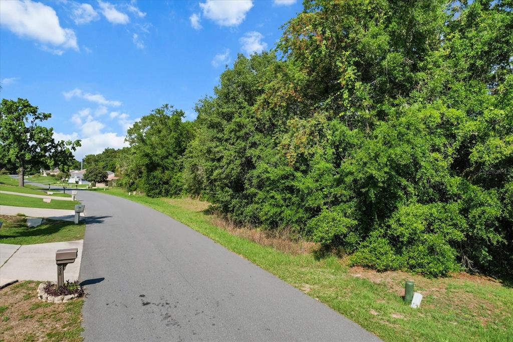 911 West Colbert Court Beverly Hills, FL 34465 - Photo 3 of 9 a view of a field with plants and trees