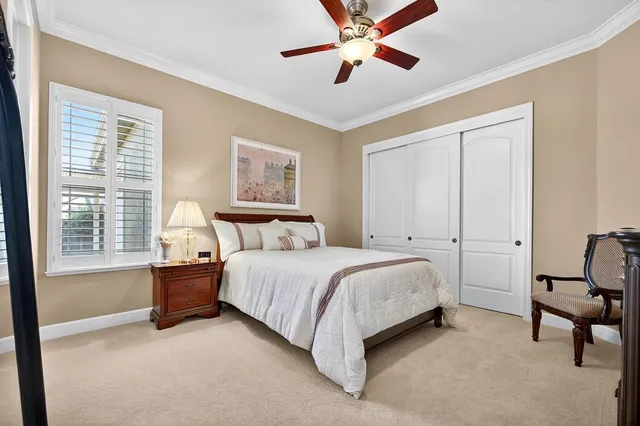 a view of a garden with large trees