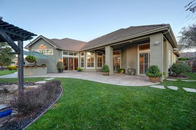 a view of a backyard with plants and large tree