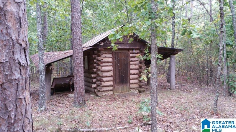 793 County Road Centre, AL 35960 - Photo 13 of 32