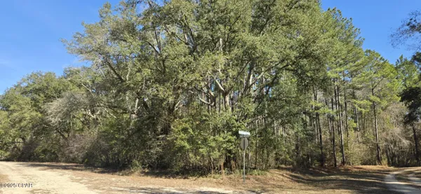 $62,000 | 0 Canopy Oak Boulevard, Bonifay, FL 32425