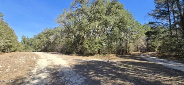 $62,000 | 0 Canopy Oak Boulevard, Bonifay, FL 32425