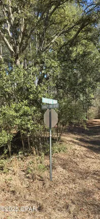 $62,000 | 0 Canopy Oak Boulevard, Bonifay, FL 32425
