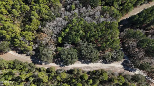 $62,000 | 0 Canopy Oak Boulevard, Bonifay, FL 32425
