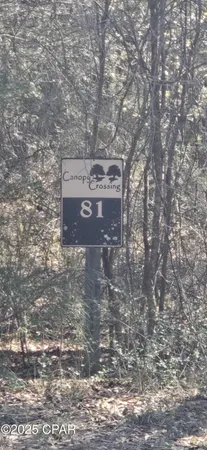 $62,000 | 0 Canopy Oak Boulevard, Bonifay, FL 32425