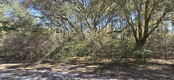 $62,000 | 0 Canopy Oak Boulevard, Bonifay, FL 32425