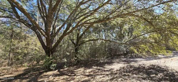 $62,000 | 0 Canopy Oak Boulevard, Bonifay, FL 32425