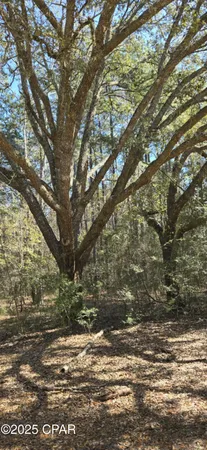 $62,000 | 0 Canopy Oak Boulevard, Bonifay, FL 32425