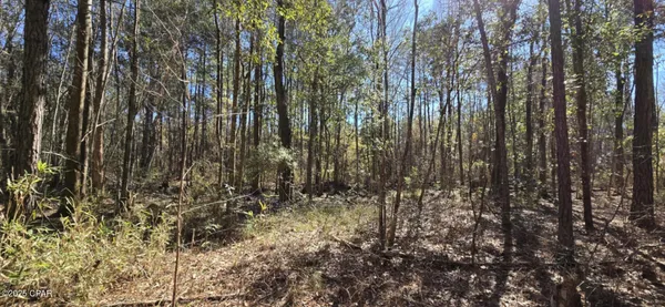 $62,000 | 0 Canopy Oak Boulevard, Bonifay, FL 32425