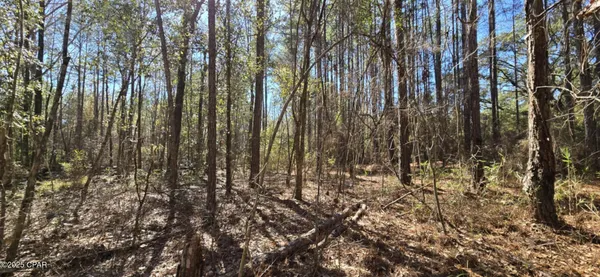 $62,000 | 0 Canopy Oak Boulevard, Bonifay, FL 32425