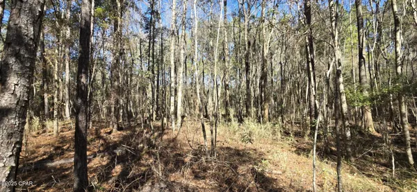 $62,000 | 0 Canopy Oak Boulevard, Bonifay, FL 32425