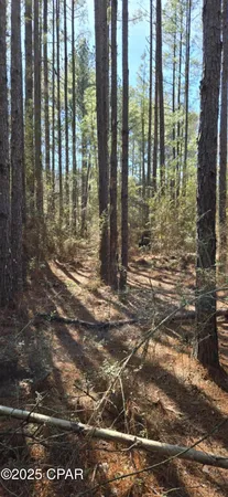 $62,000 | 0 Canopy Oak Boulevard, Bonifay, FL 32425