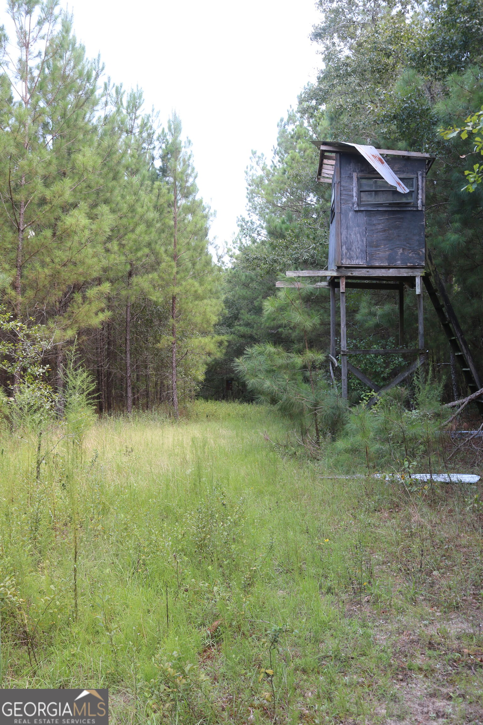0 Barentine Road Rochelle, GA 31079 - Photo 24 of 38 Gallery Image 24