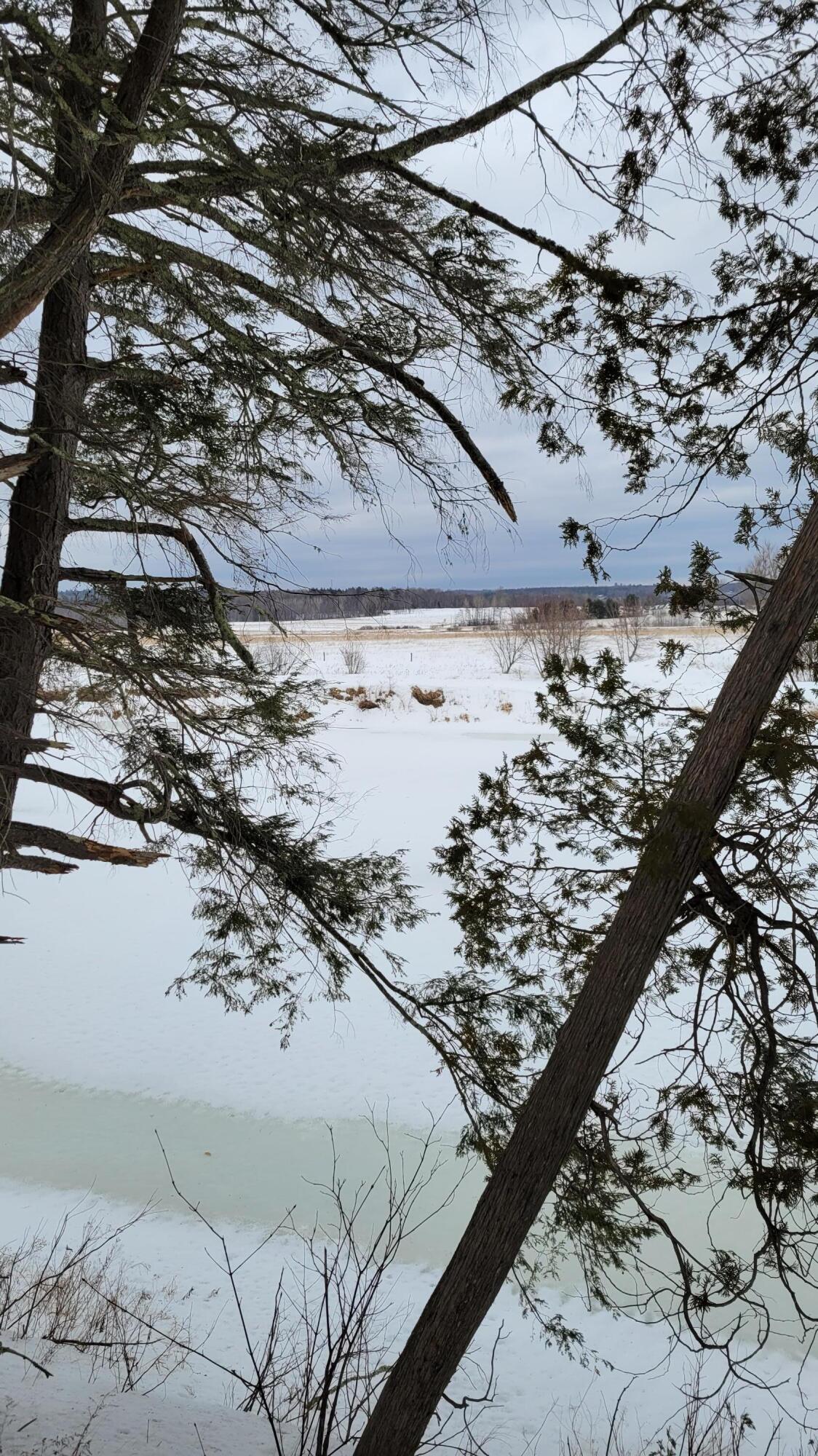 0 Range Road East Dover-Foxcroft, ME 04426 - Photo 20 of 23 Map 12 Lot 24 (20)