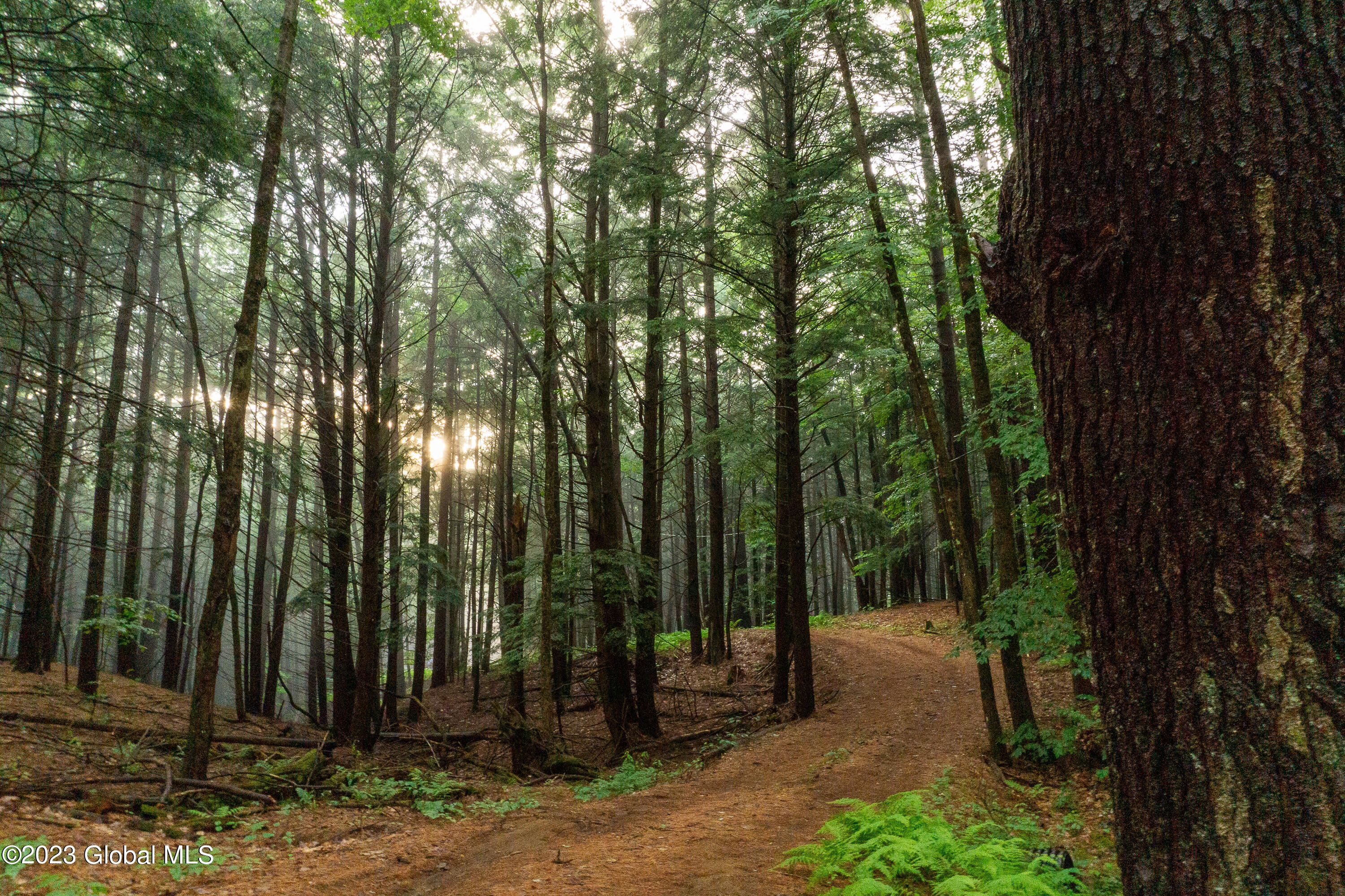 198 Hope Falls Road Hope, NY 12134 - Photo 28 of 38 DSC02083