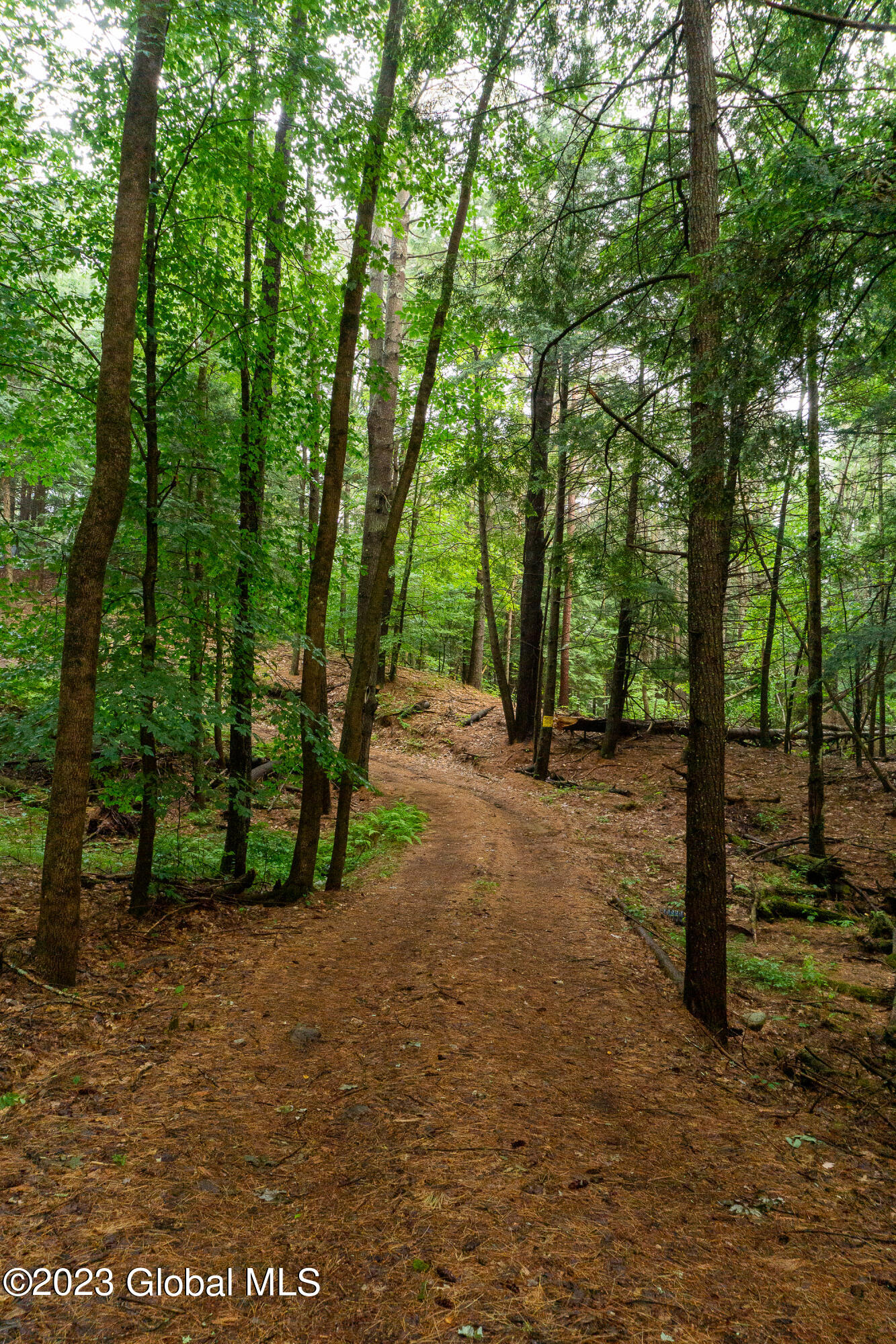 198 Hope Falls Road Hope, NY 12134 - Photo 29 of 38 DSC02076