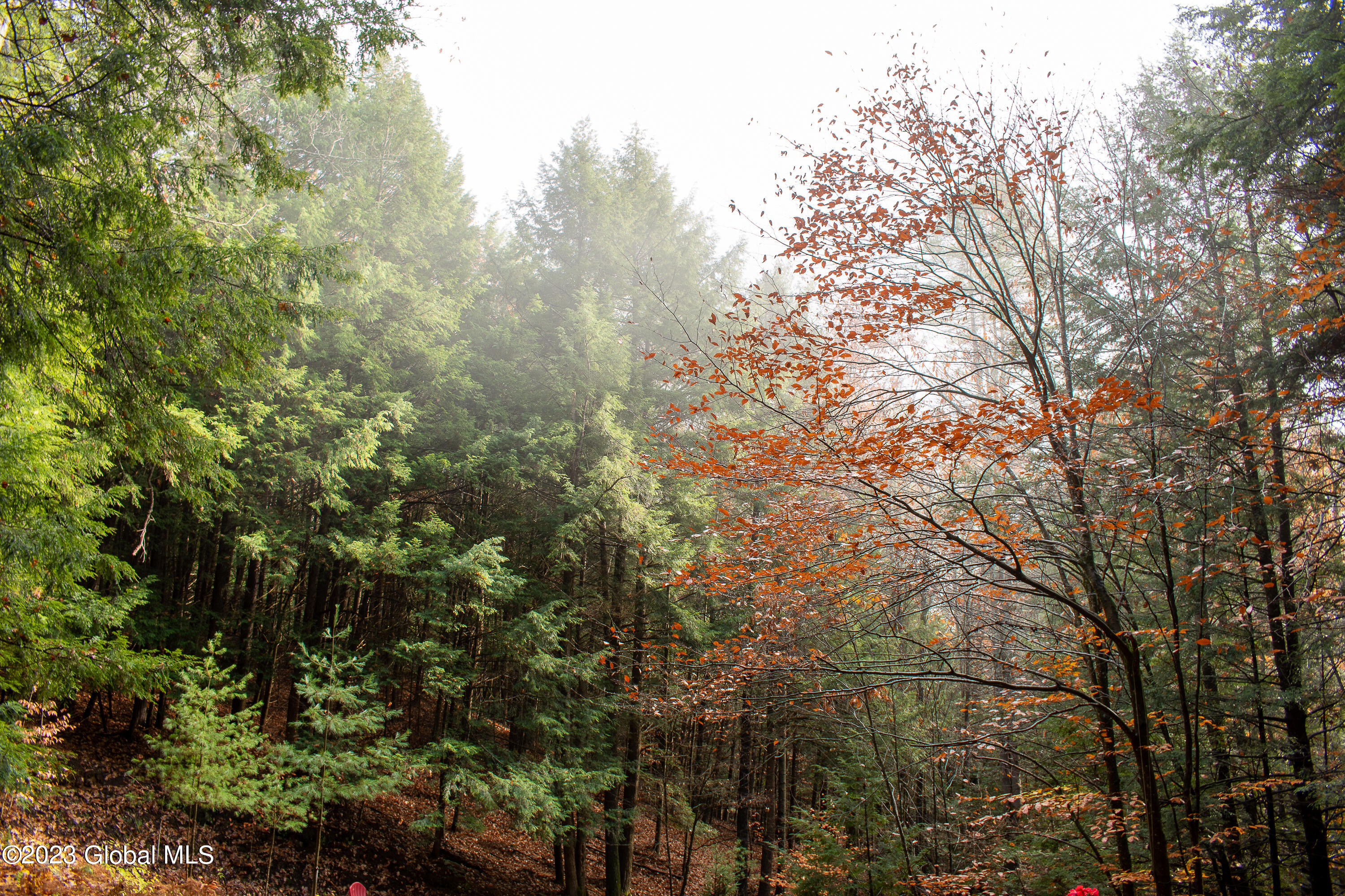 198 Hope Falls Road Hope, NY 12134 - Photo 32 of 38 DSC_0238