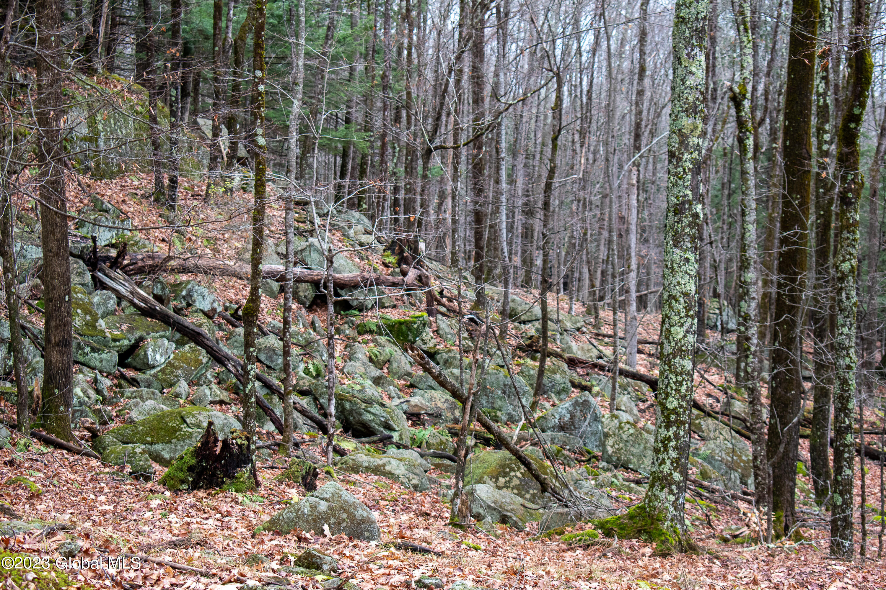 198 Hope Falls Road Hope, NY 12134 - Photo 33 of 38 DSC_0502