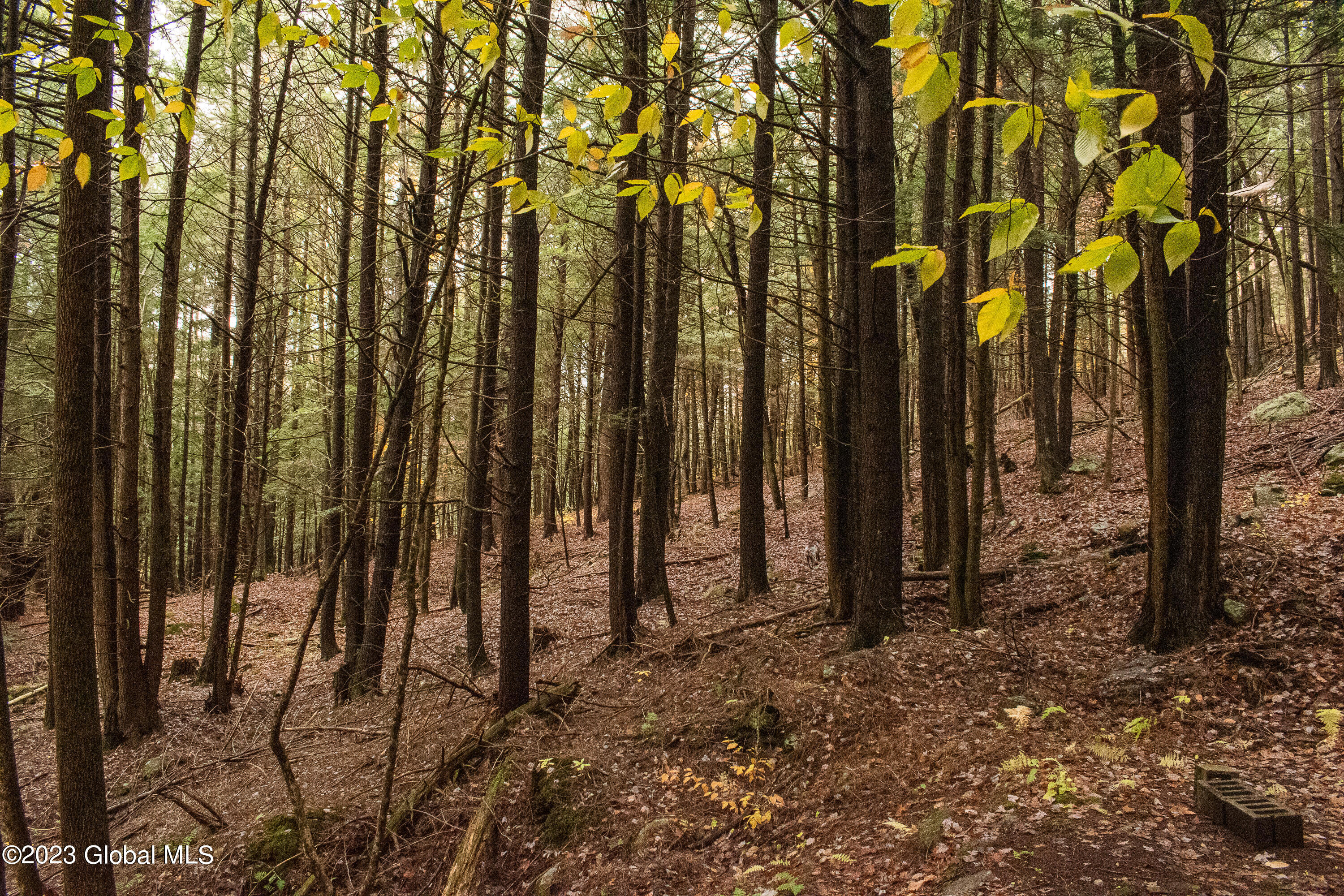 198 Hope Falls Road Hope, NY 12134 - Photo 35 of 38 DSC_0098