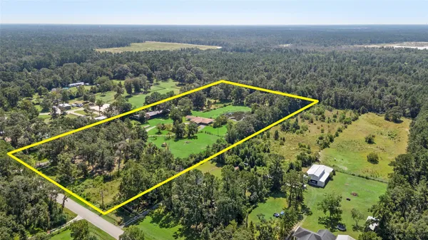 a view of a backyard with a garden and plants