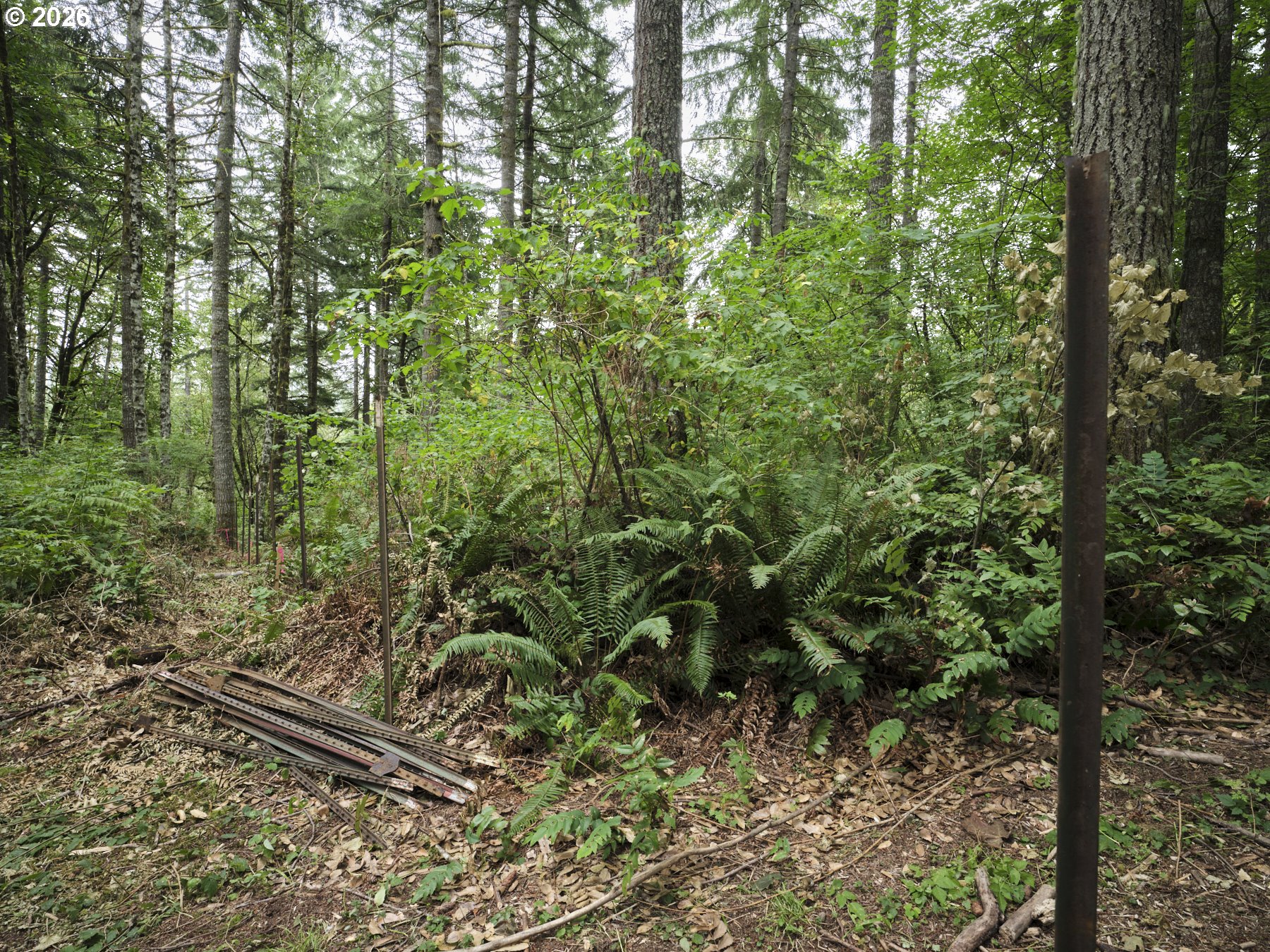 38610 Northeast Rotschy Road Yacolt, WA 98675 - Photo 19 of 39 Gallery Image 19