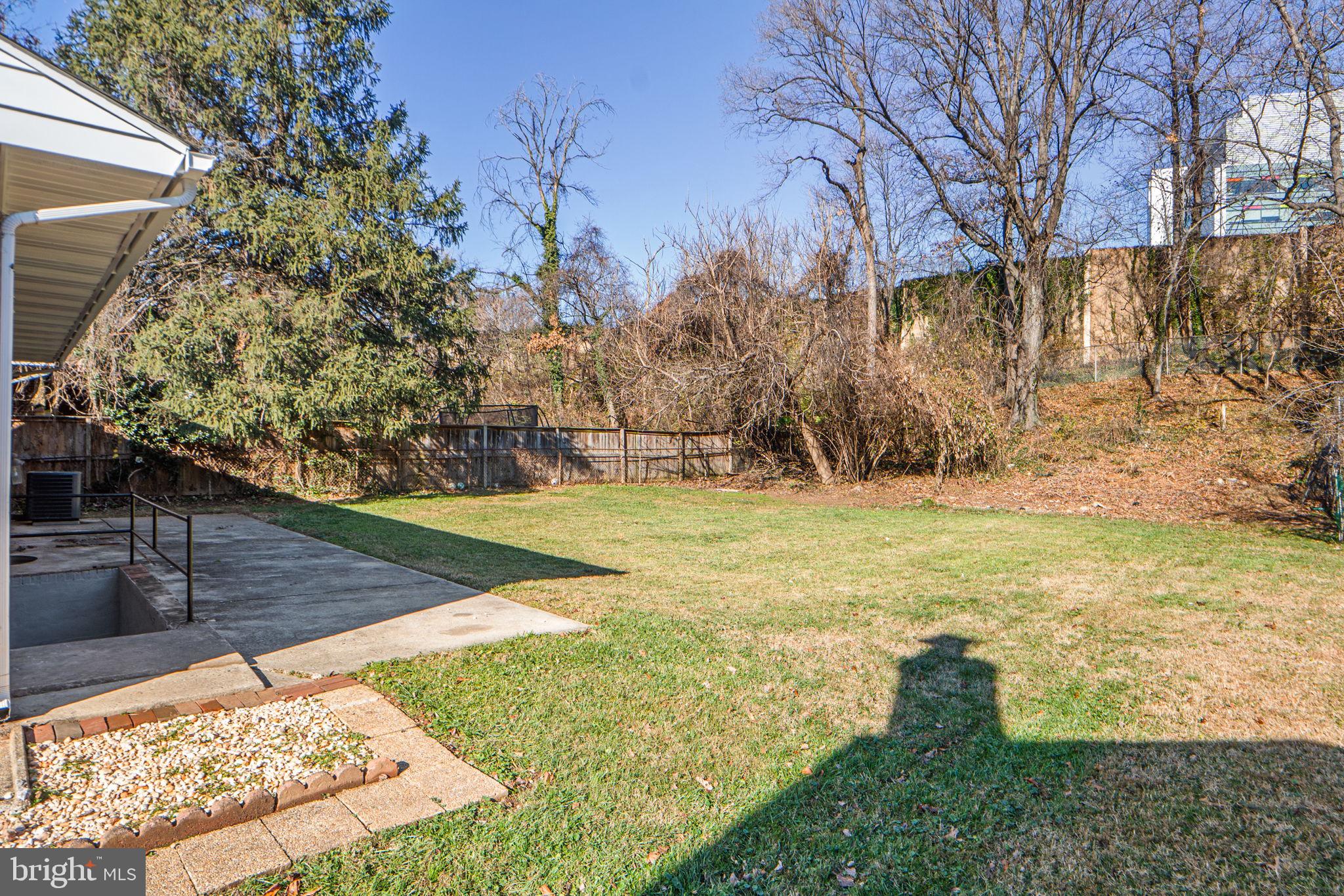 1513 Flora Lane Silver Spring, MD 20910 - Photo 45 of 49 a view of yard with tree