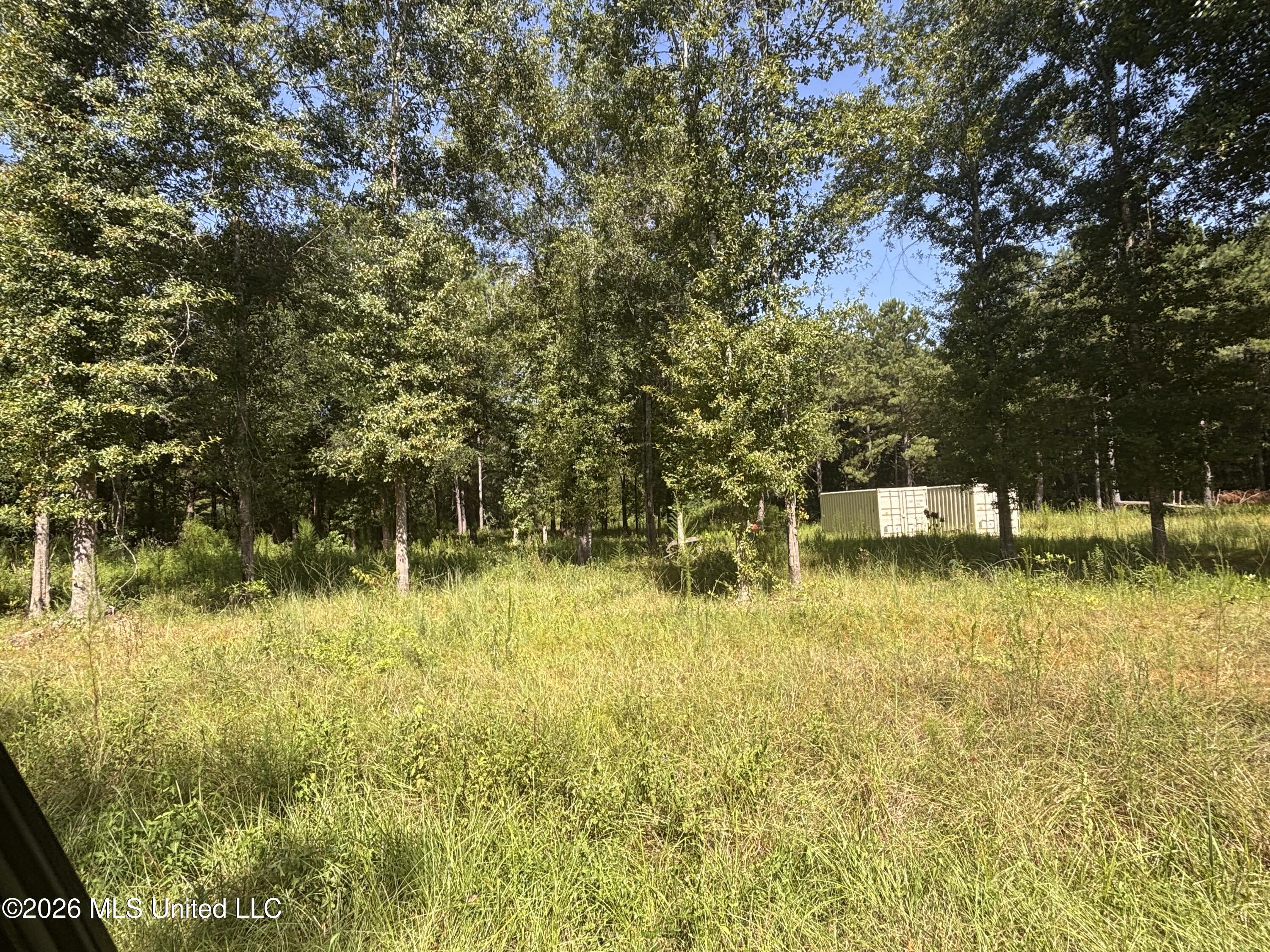 0 Robert Rhodes Road Poplarville, MS 39470 - Photo 11 of 11 IMG_3172