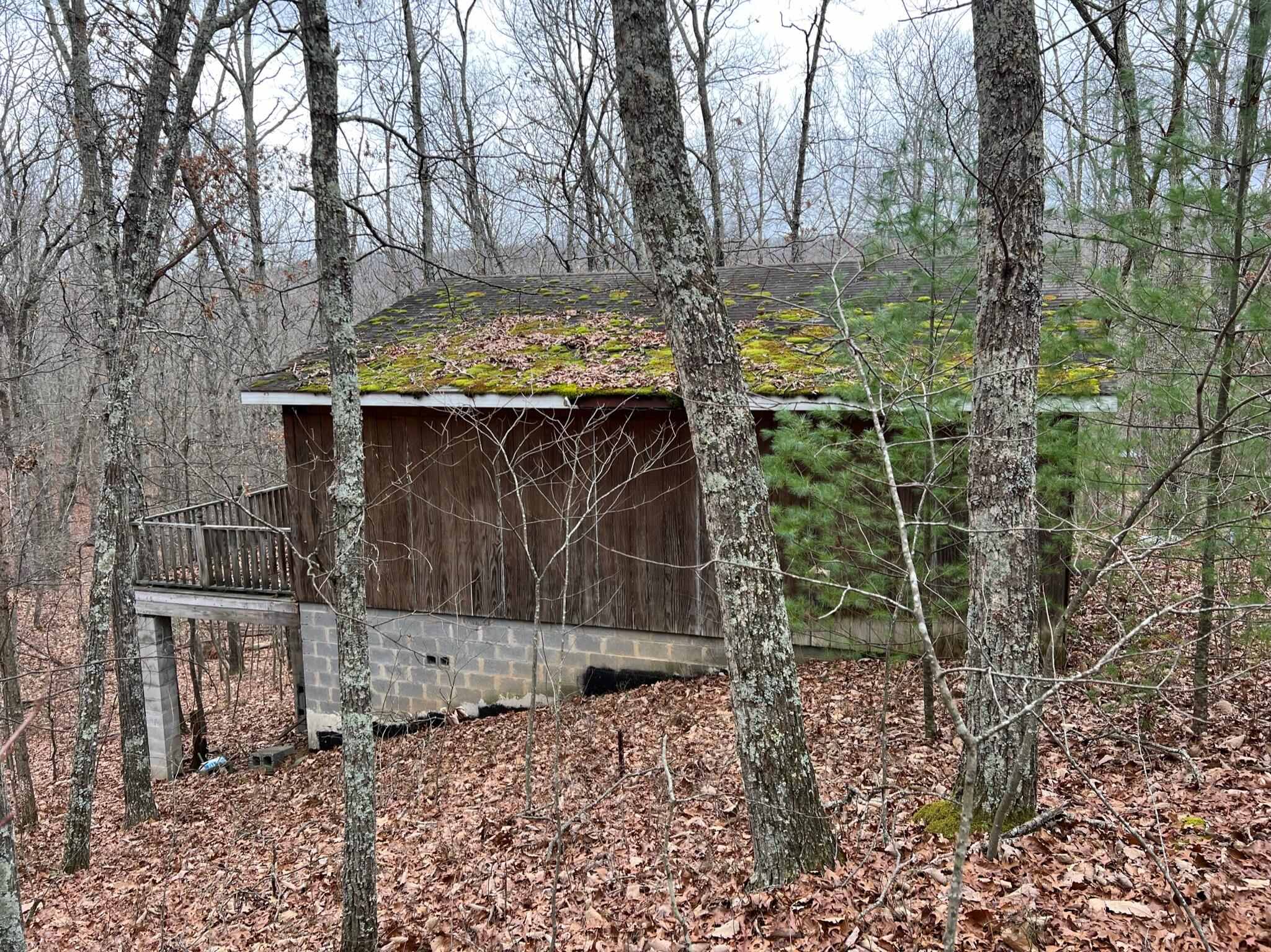 Wildcat Hill Road Gap Mills, WV 24941 - Photo 7 of 37 Gallery Image 7