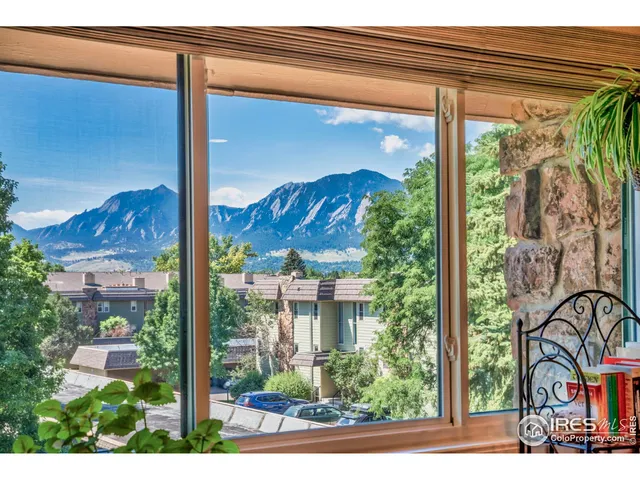 a view of a garden from a window