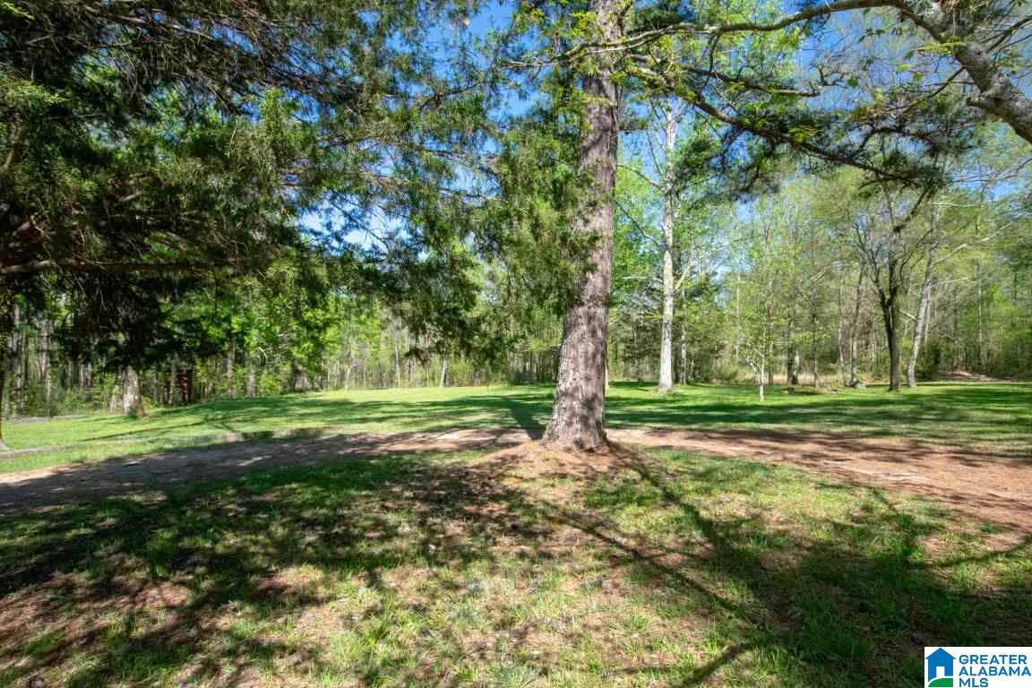 240 Raccoon Trail Hayden, AL 35079 - Photo 39 of 47 Gallery Image 39