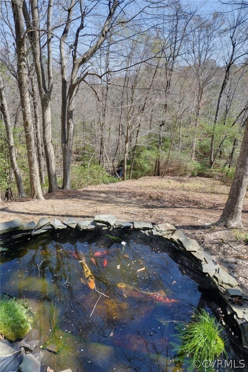 110 Westminster Place Williamsburg, VA 23188 - Photo 16 of 50 a view of a backyard of a house